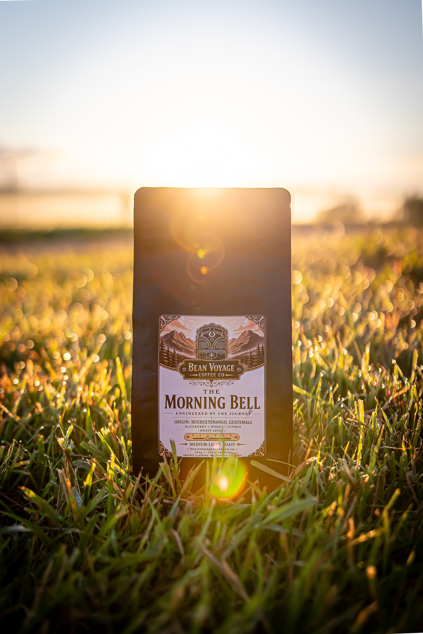 The Morning Bell